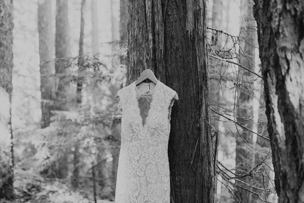 wedding dress hanging from tree mount rainier