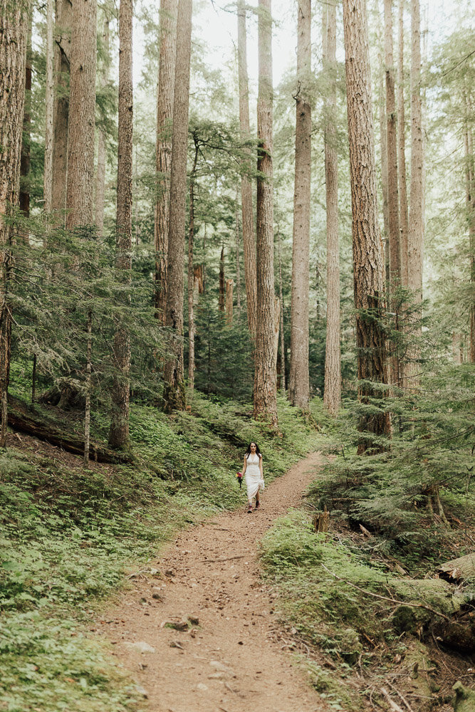 bride walking in forest mount rainier